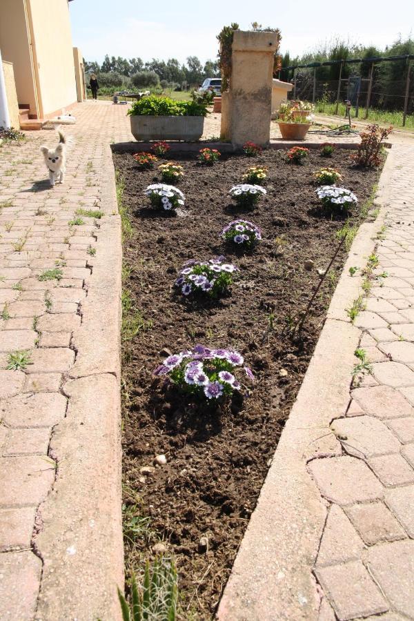 Villa Cabirol Fertilia Zewnętrze zdjęcie