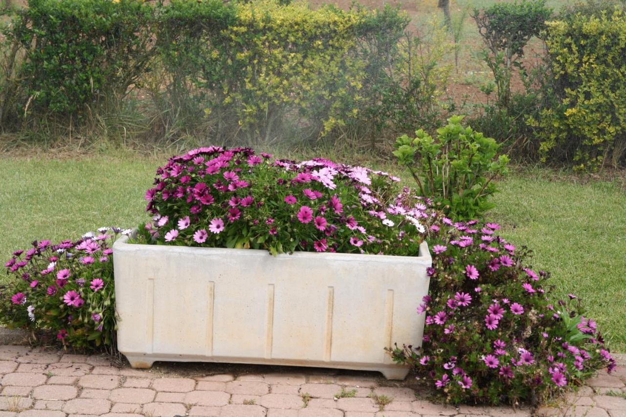 Villa Cabirol Fertilia Zewnętrze zdjęcie